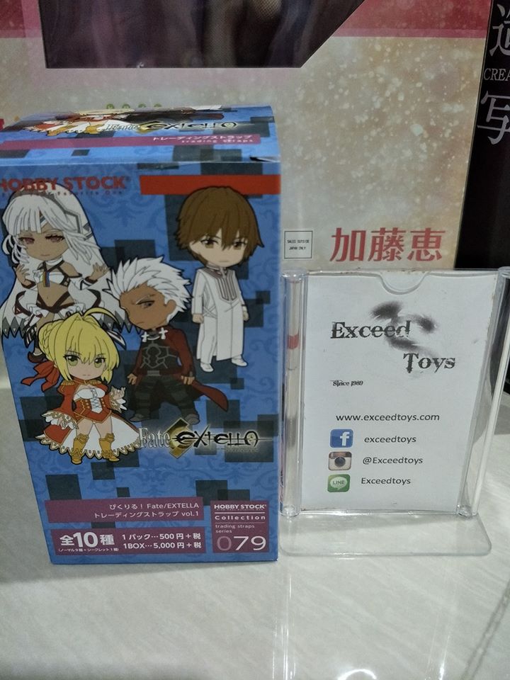 Pikuriru! Fate/EXTELLA Trading Rubber Strap vol.1(Box of 10 Blind Packs)