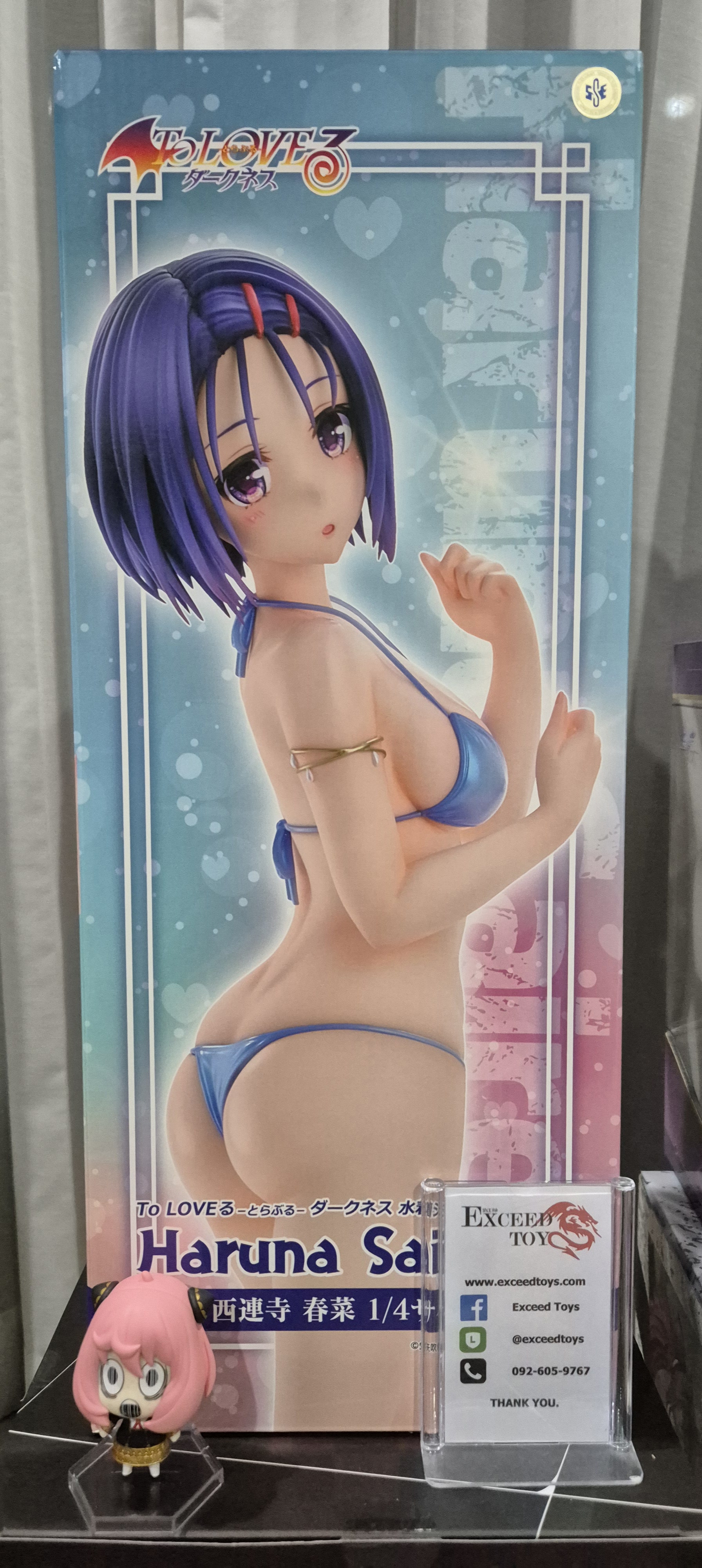 Sairenji Haruna Swimsuit