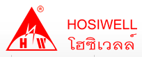 http://ss-hosiwell.lnwshop.com/