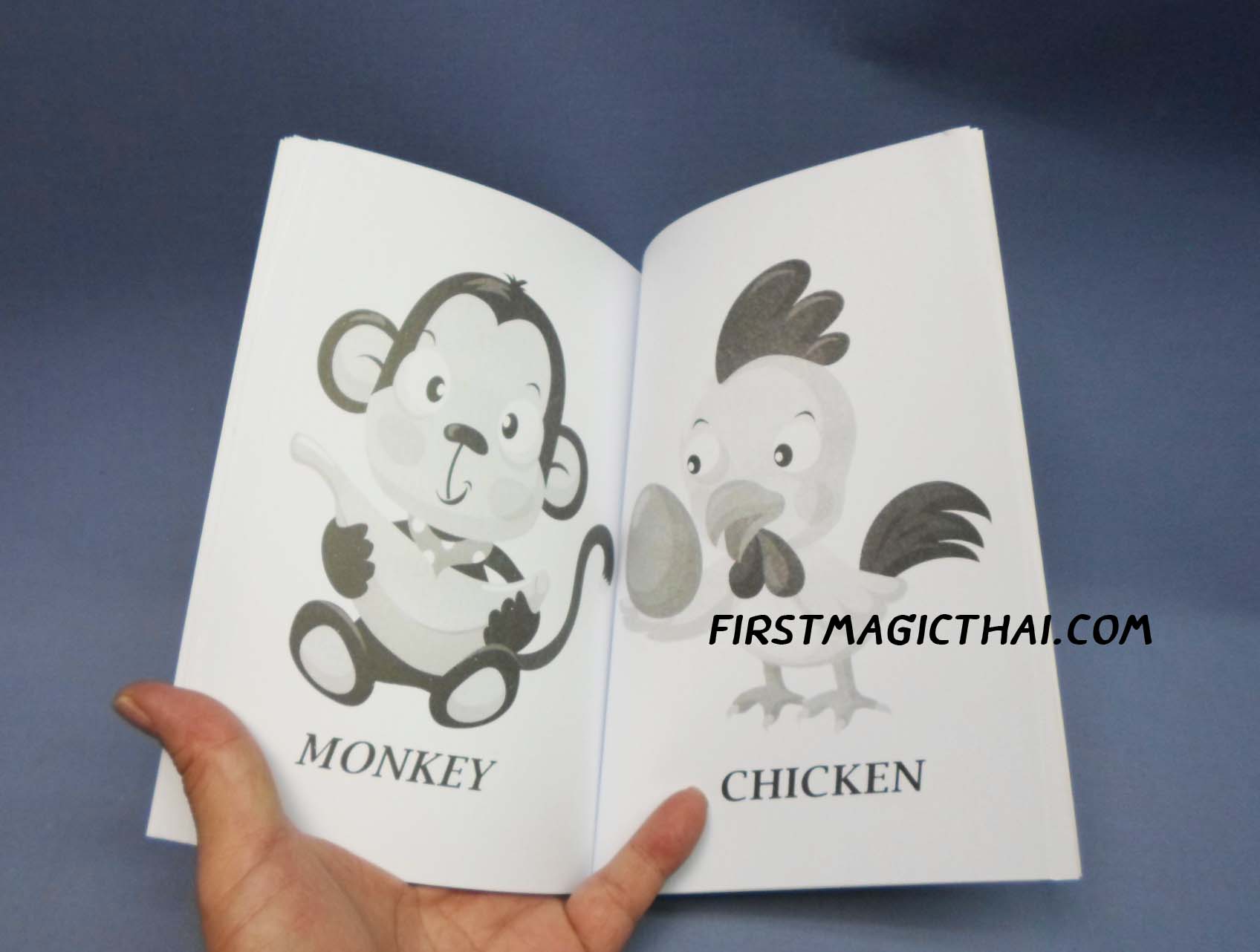 หนังสือเปลี่ยนสี เล่มกลาง ปกAnimal / Anima Coloring Book