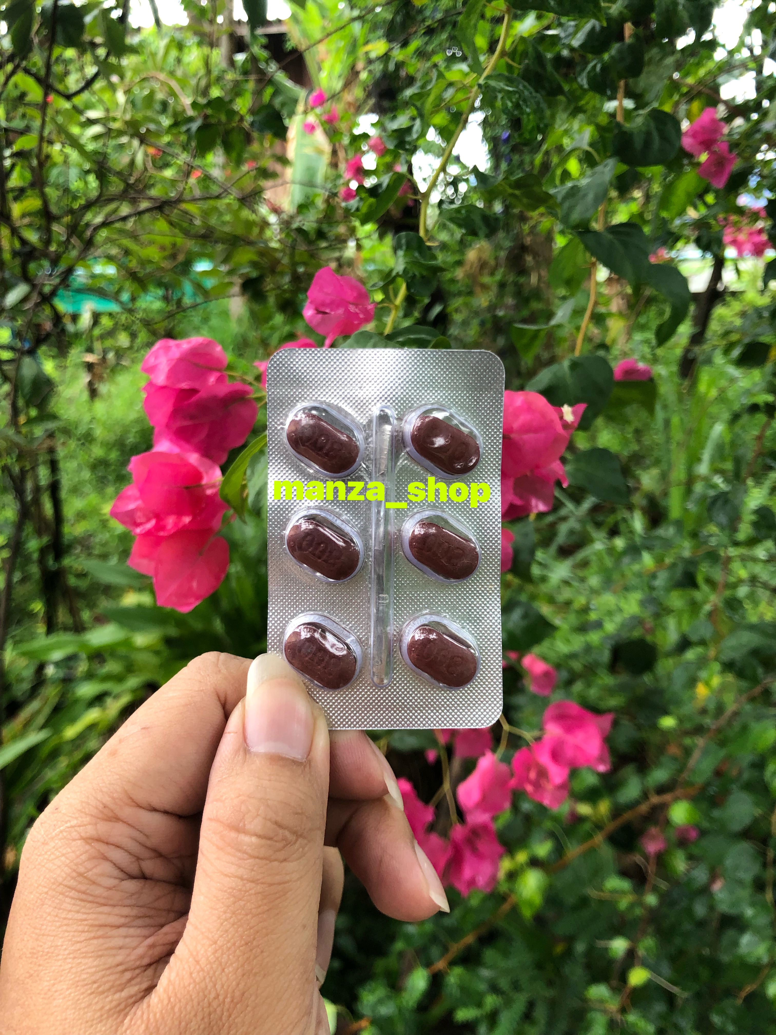 หมาแดง (หมาป่าแดง)