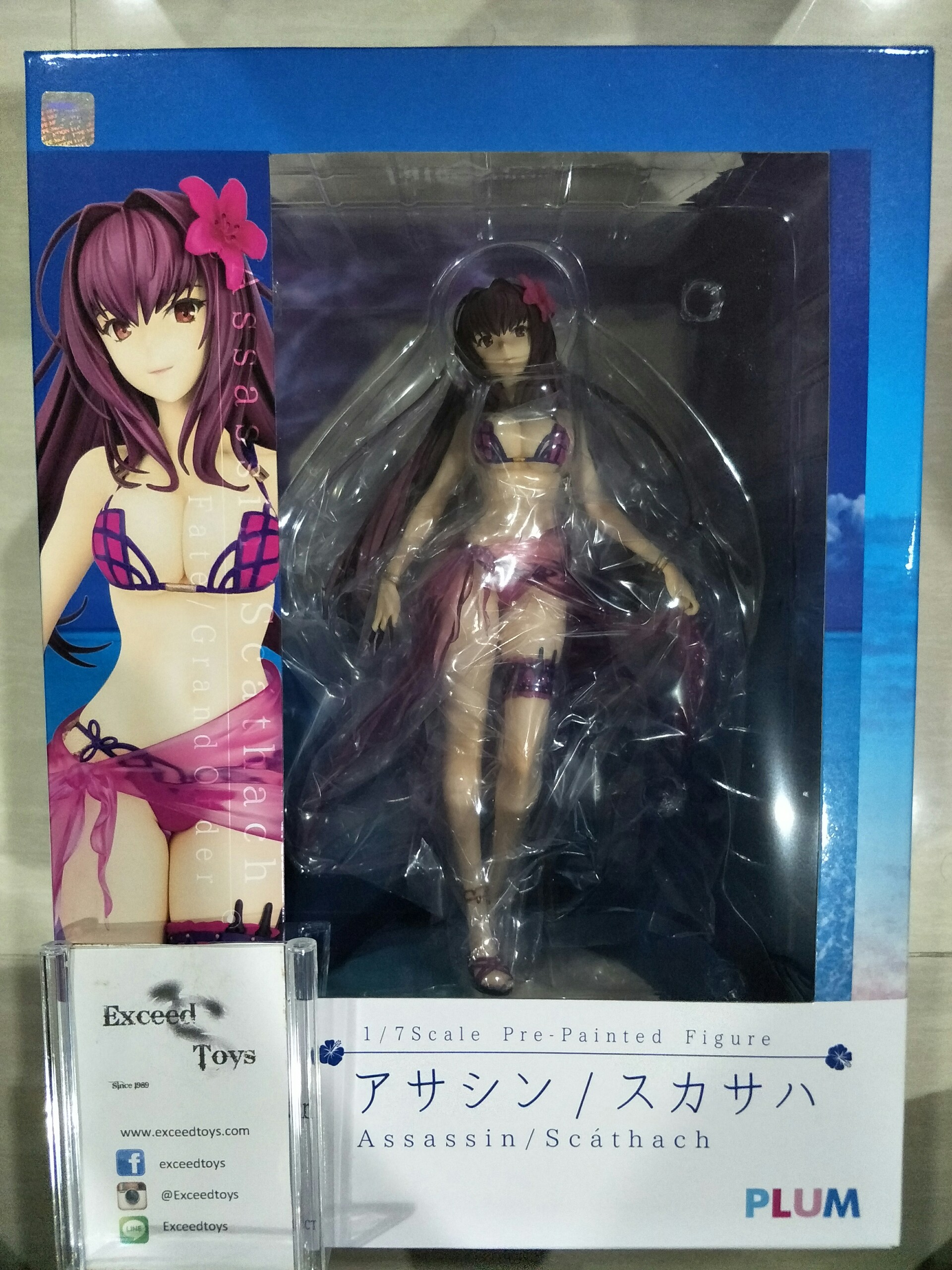 Assassin/Scathach