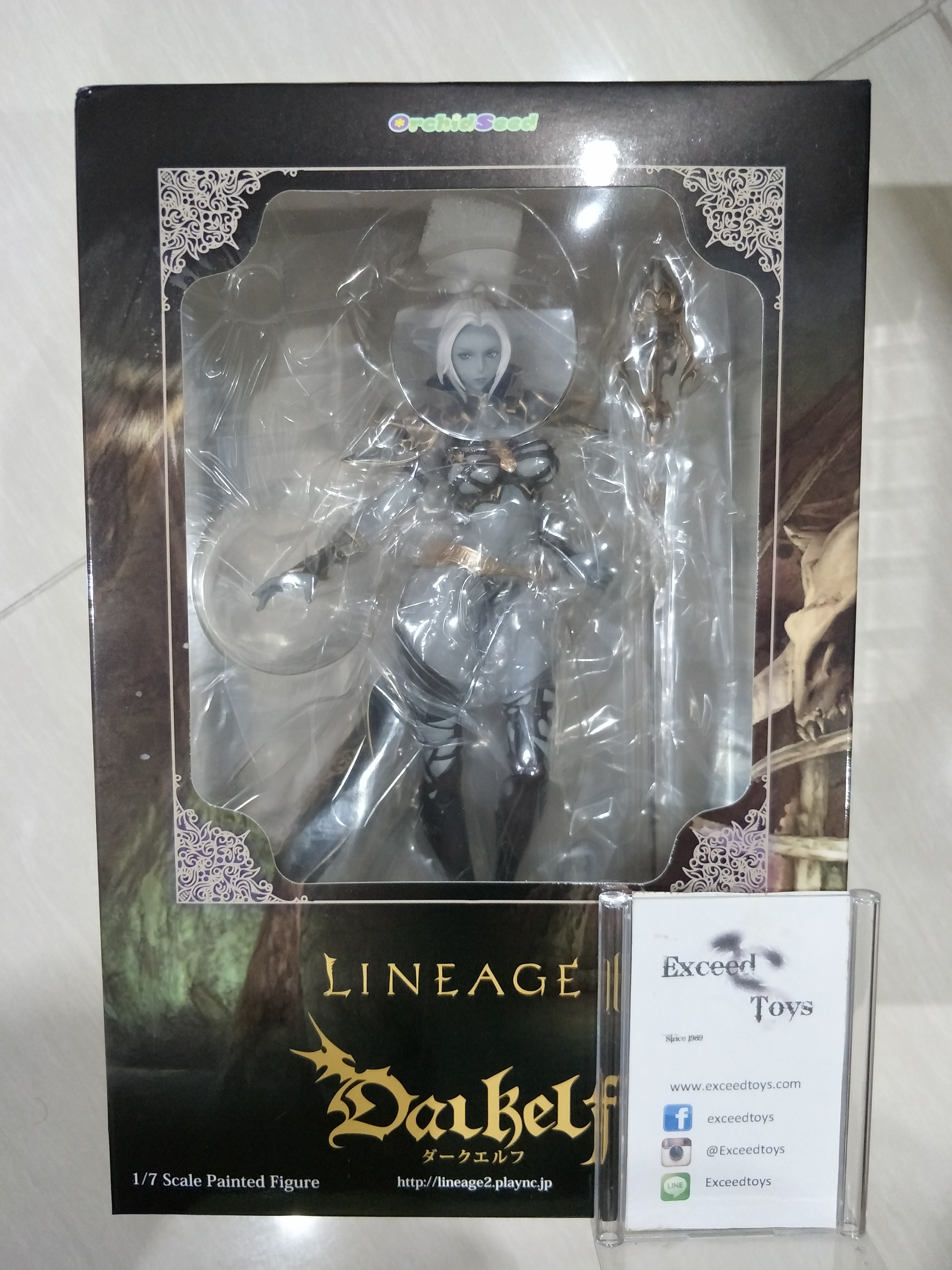 Dark Elf Regular Edition