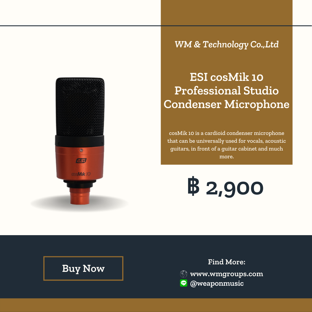 ESI cosMik 10 Professional Studio Condenser Microphone
