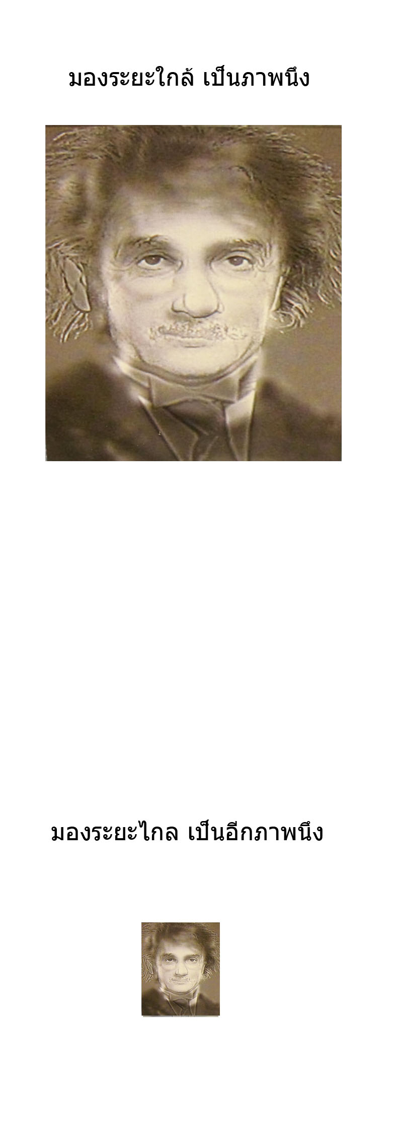 ภาพลวงตา แบบที่1