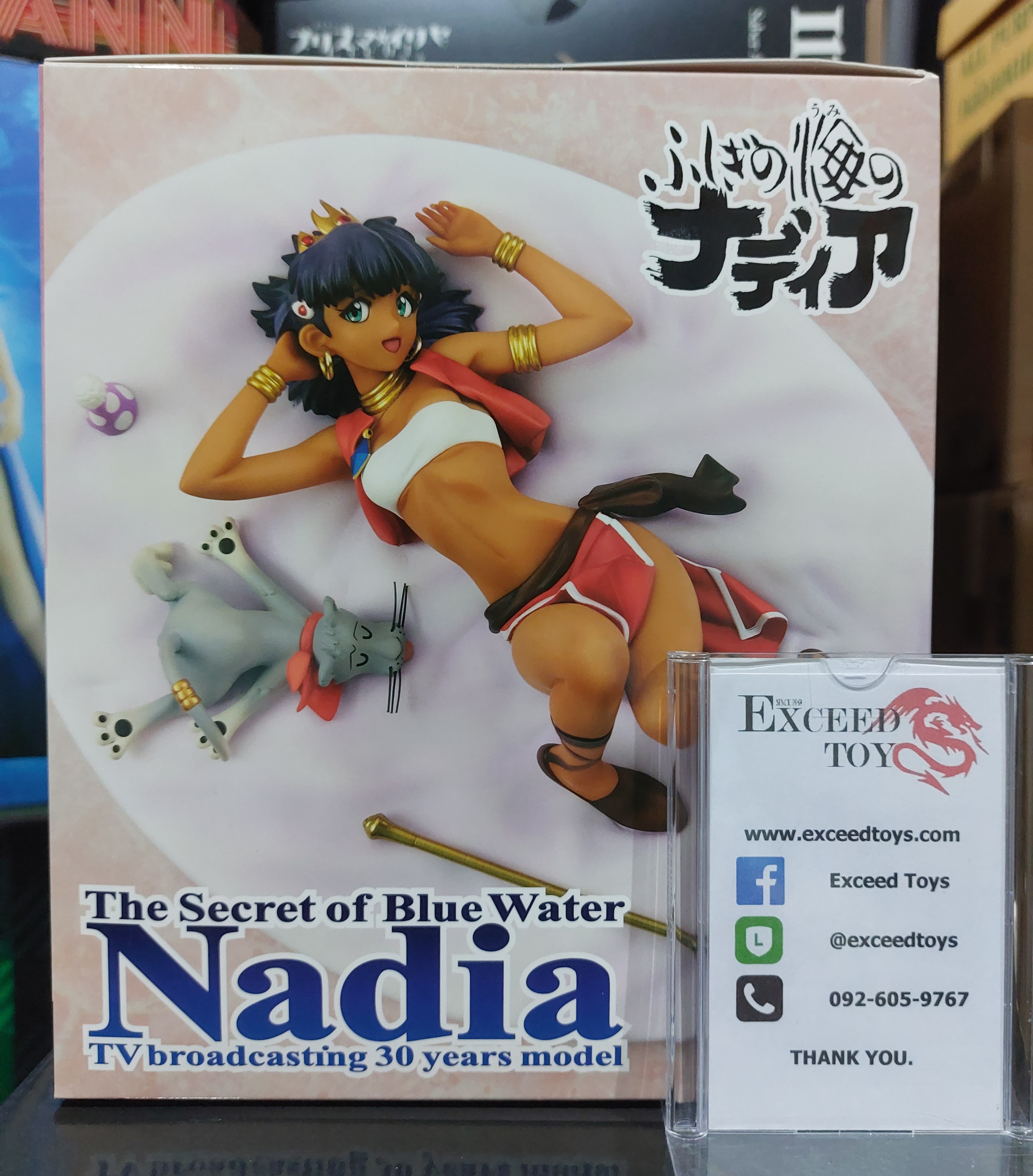 Nadia TV broadcasting 30 years model