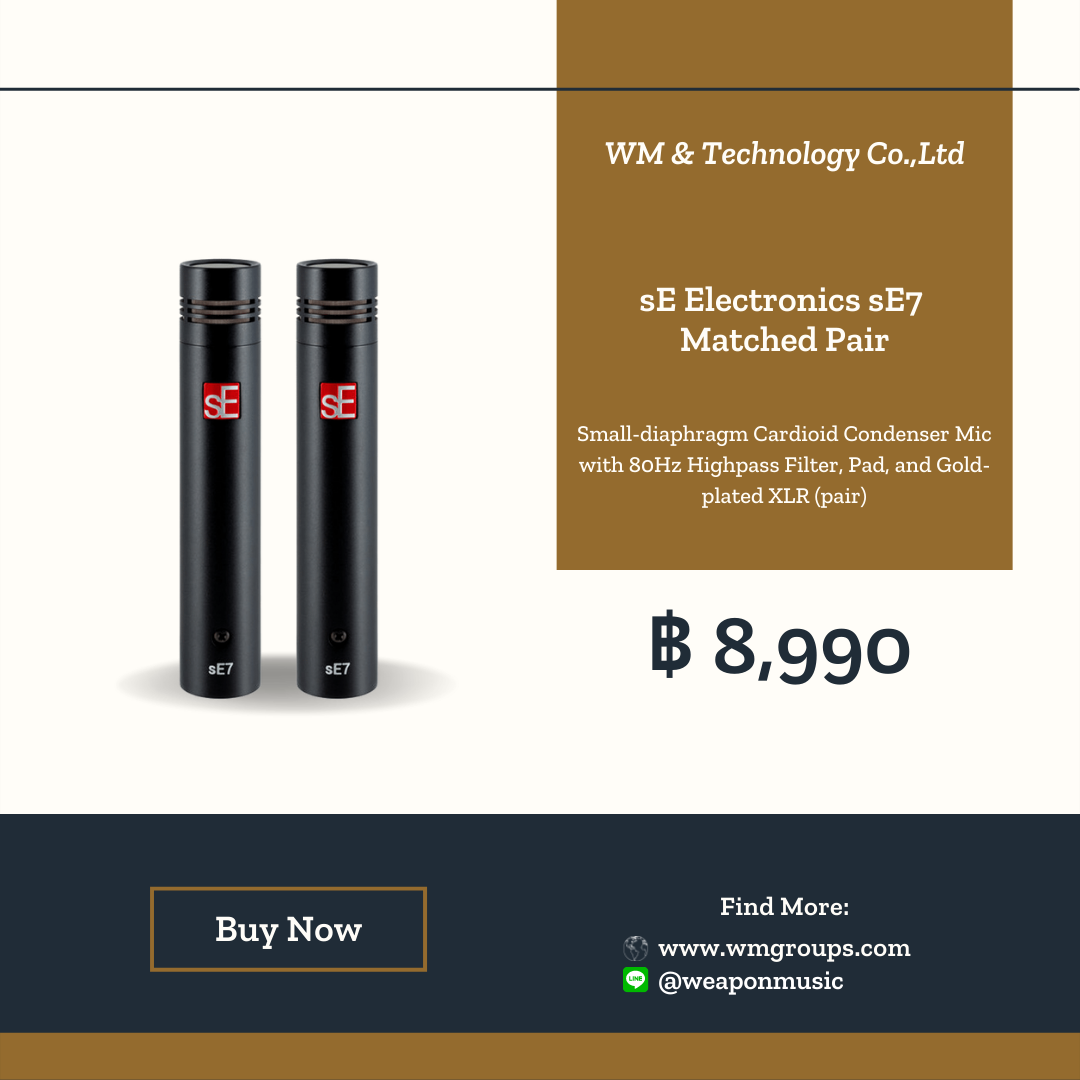 sE Electronics sE7 Matched Pair