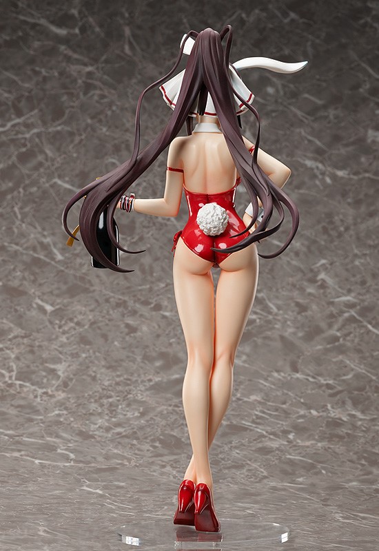 Houki Shinonono Bare Leg Bunny Ver.
