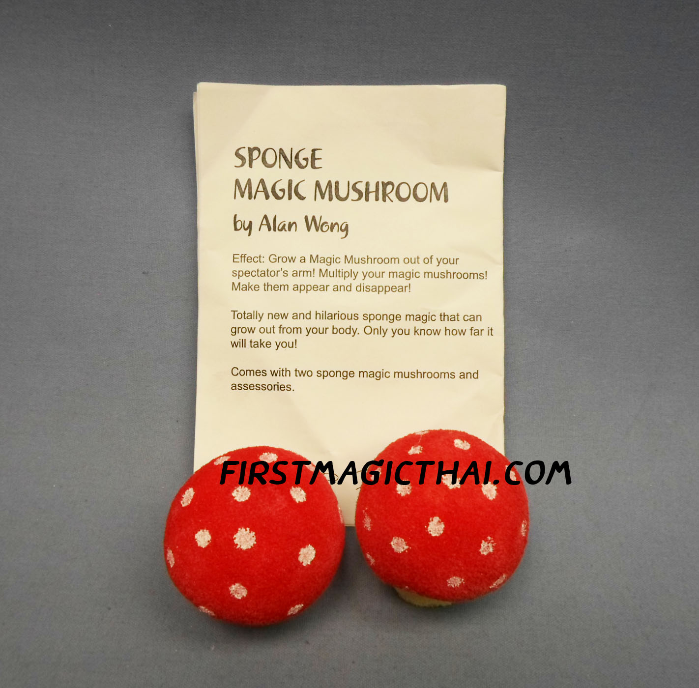 ฟองน้ำ เห็ดคู่ / sponge magic mushroom