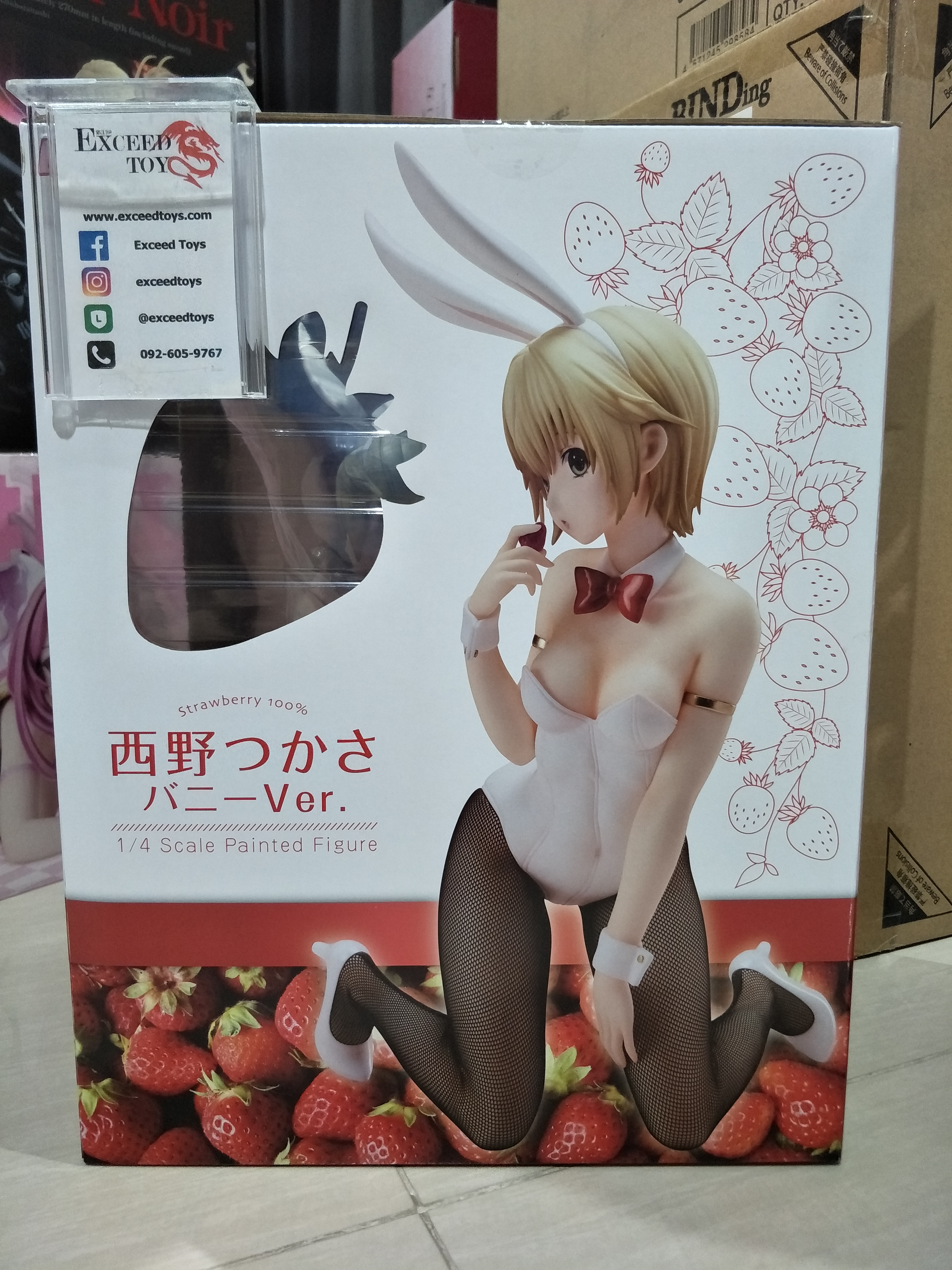 Tsukasa Nishino : Bunny Ver.