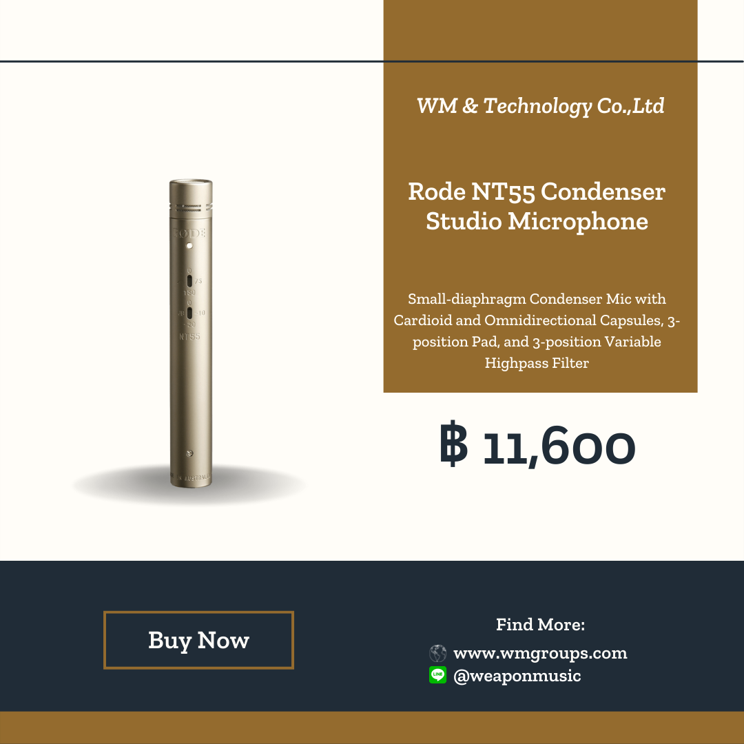 Rode NT55 Condenser Studio Microphone