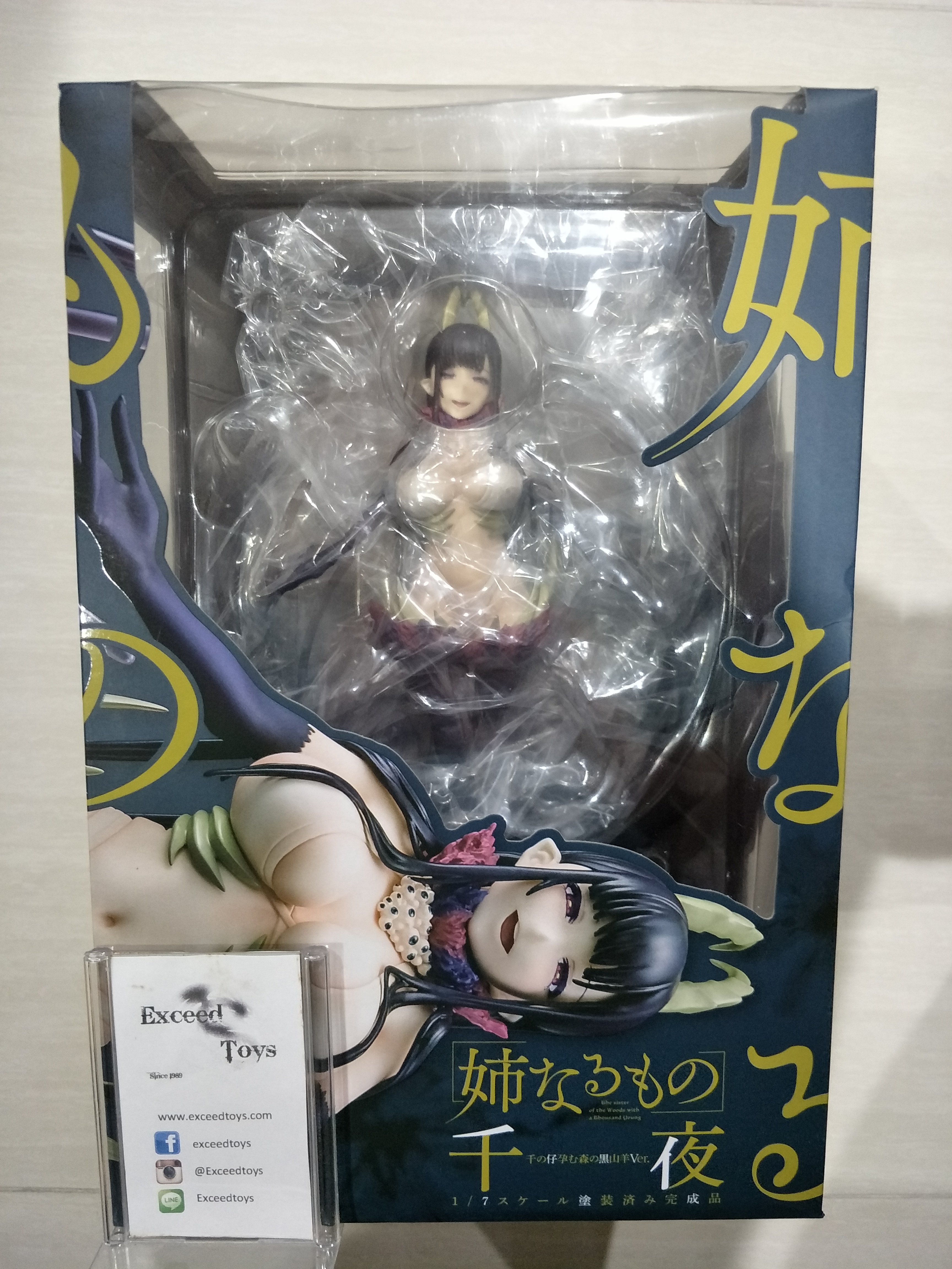 Chiyo (Sol International)