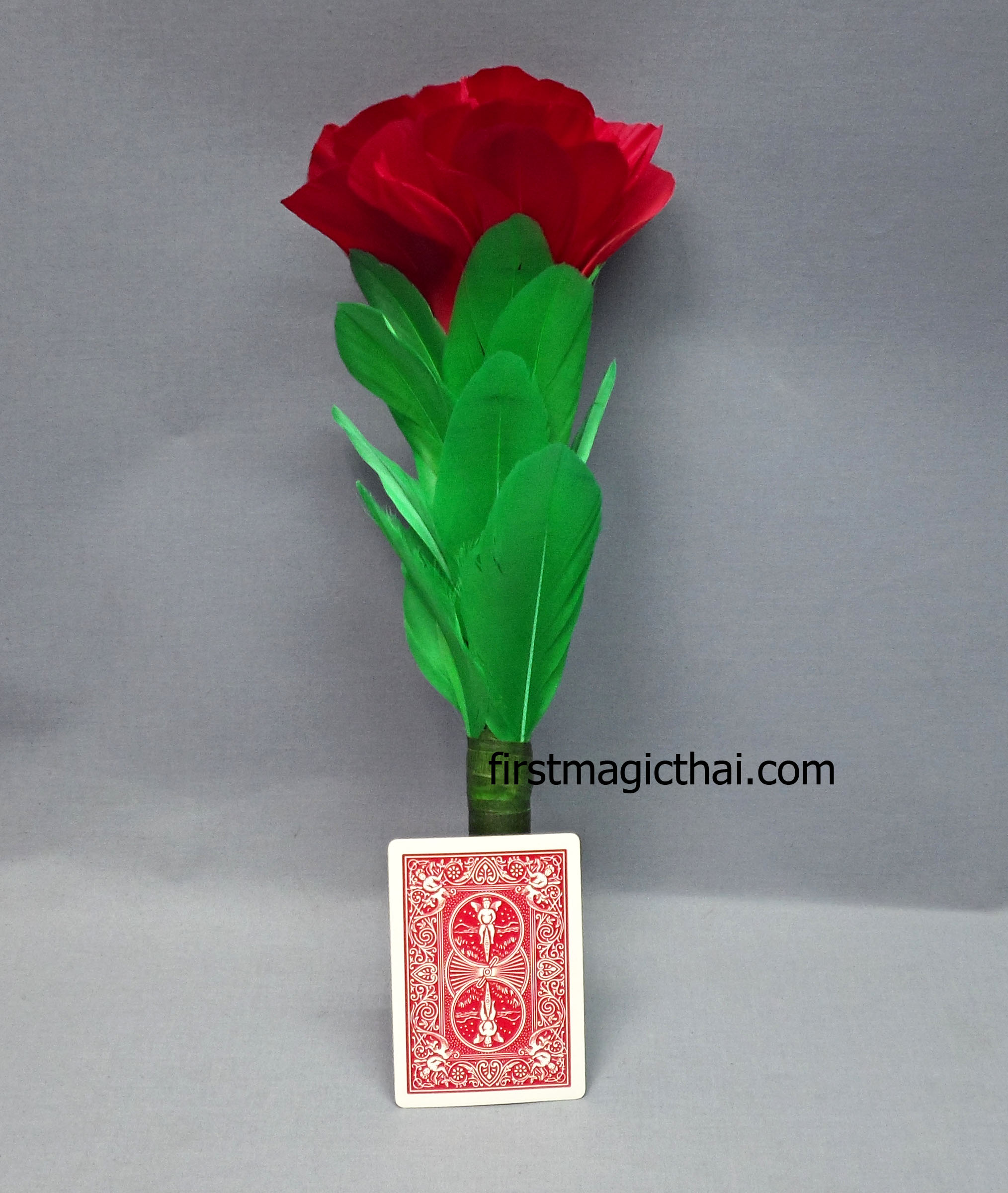 ดอกไม้ทวีคูณ 1เป็น3 สีแดงล้วน