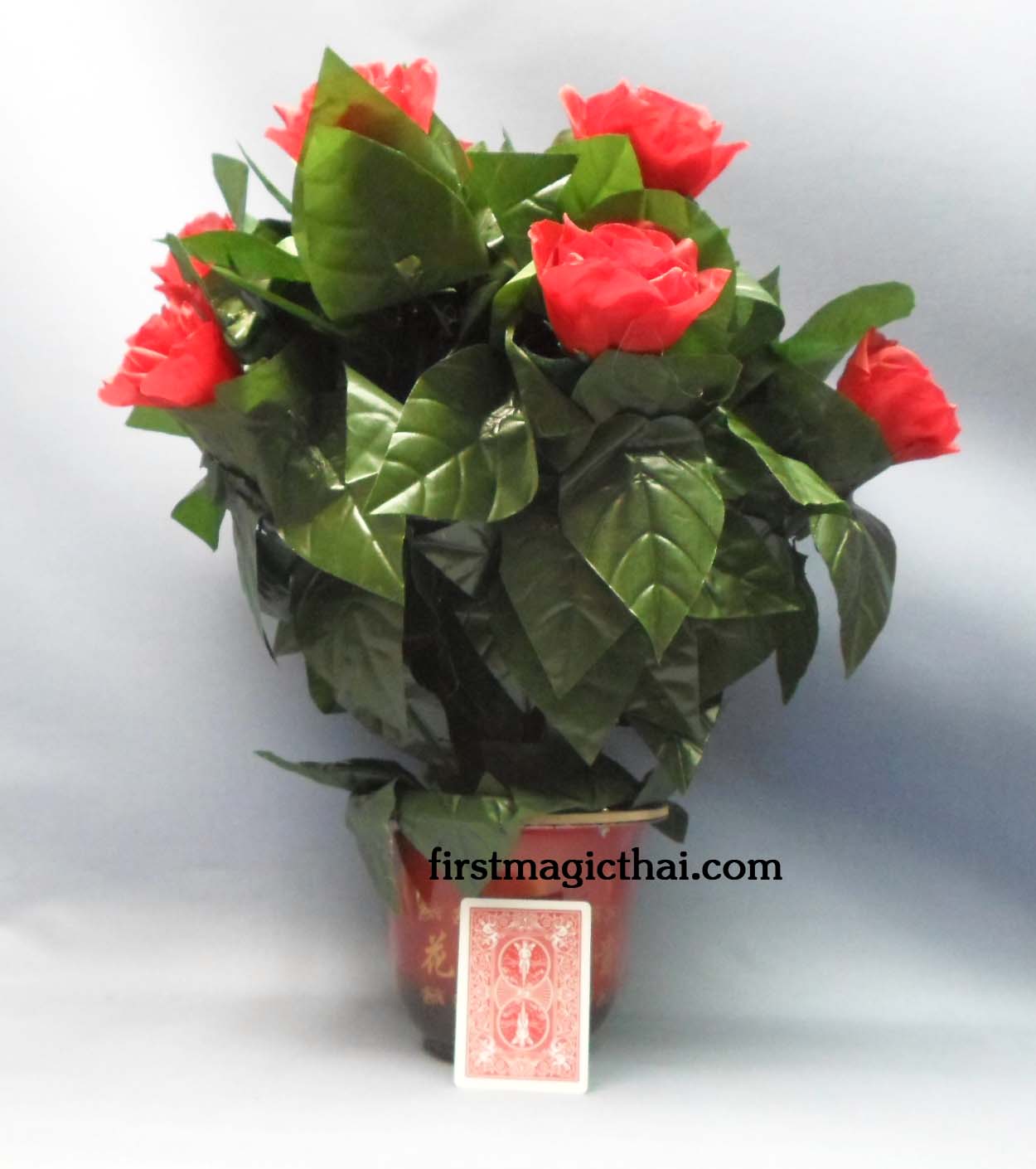 เสกดอกไม้ พร้อม กระถาง 10 ดอก (แบบประหยัด)