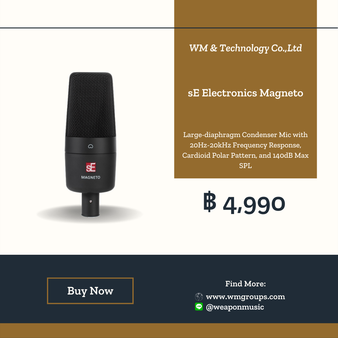 sE Electronics Magneto