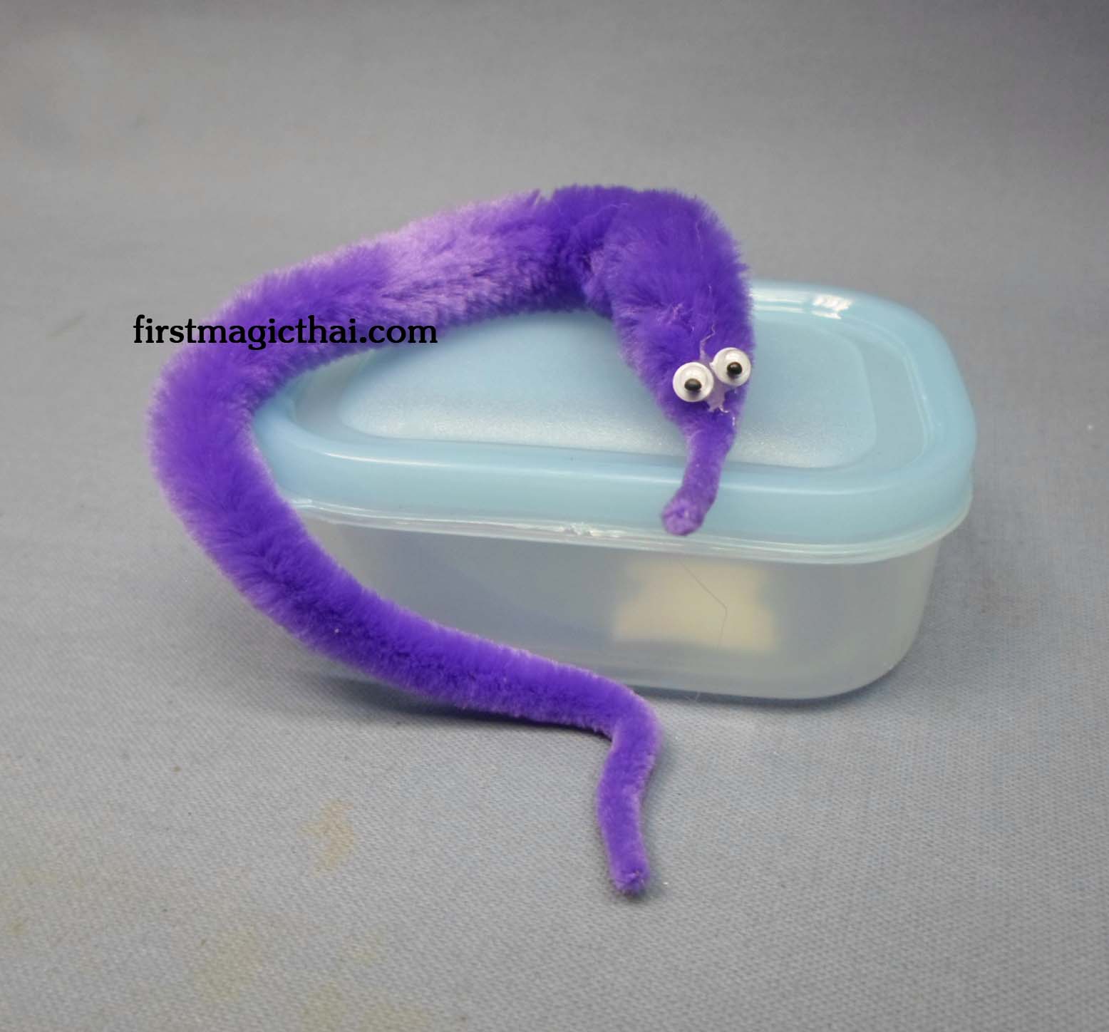 หนอนแสนรู้ (สีม่วง) / Magic Worm