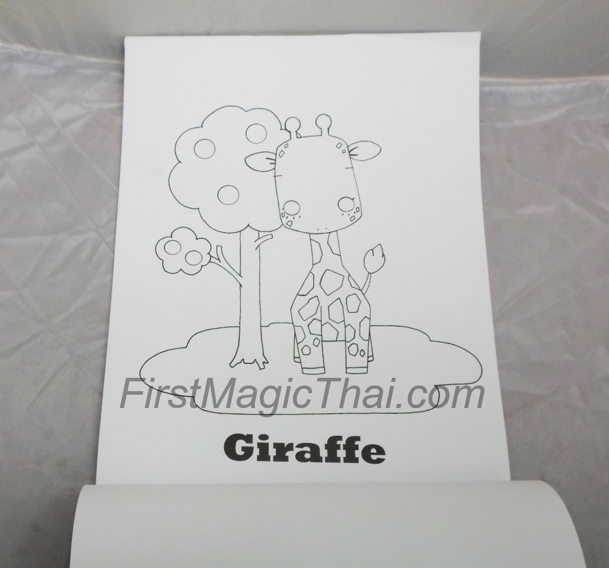 หนังสือเปลี่ยนสีเกาหลี (Magic BookStage Size By Bitto)