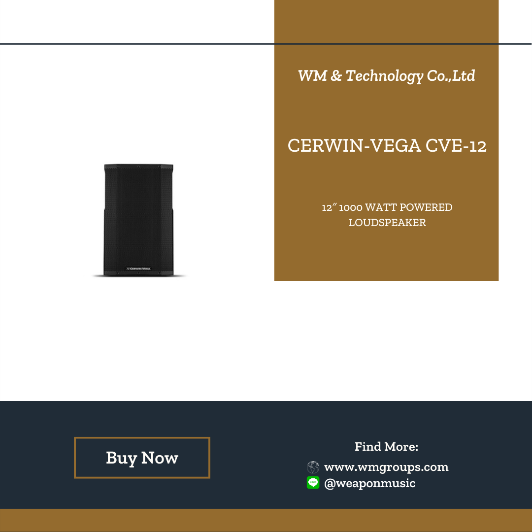 CERWIN-VEGA CVE-12