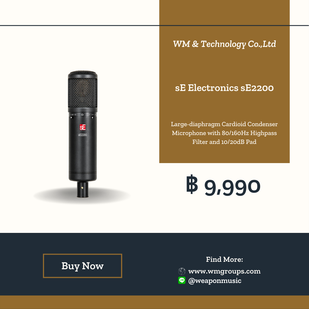 sE Electronics sE2200
