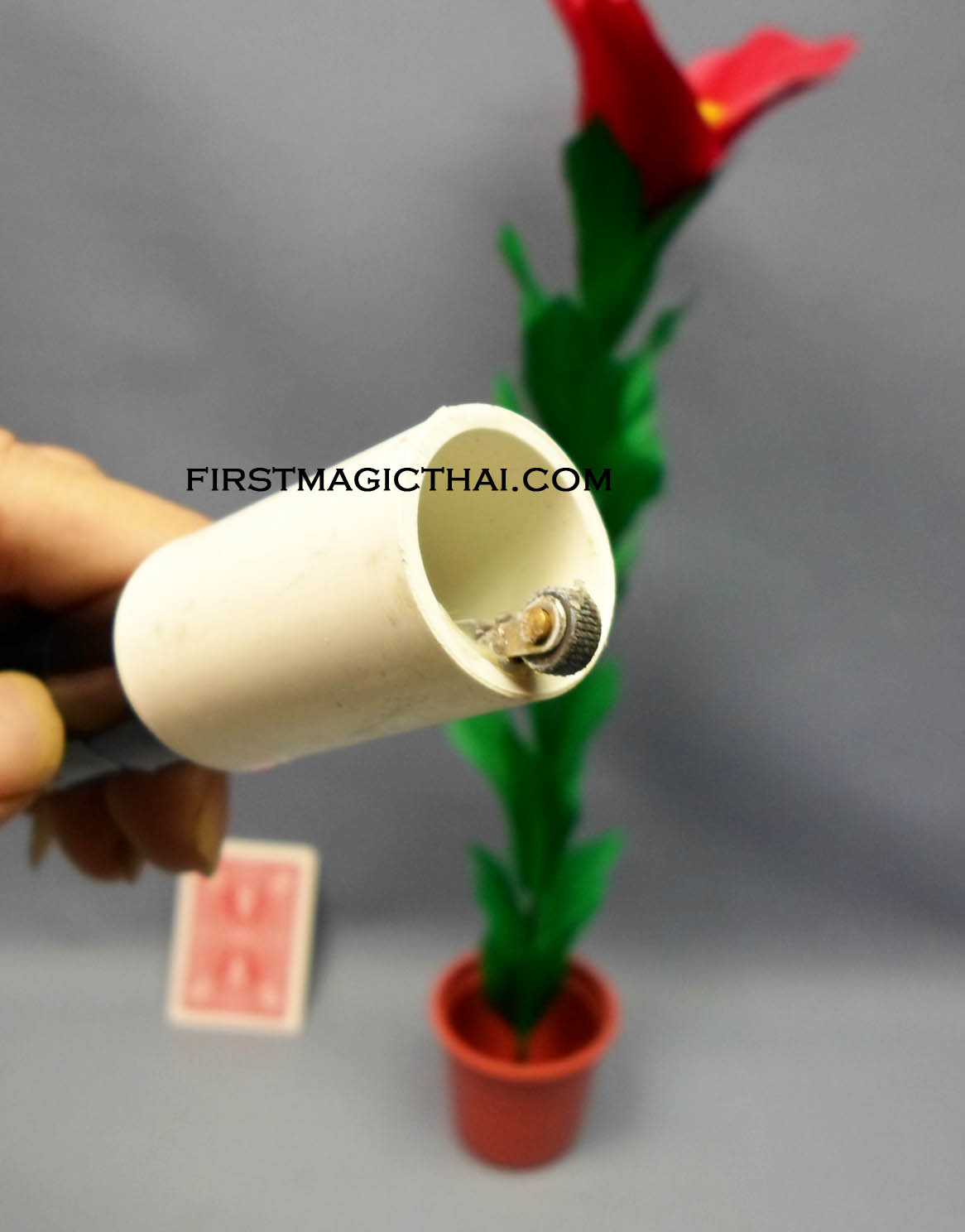 ไม้เท้าแฟรช เป็นดอกไม้