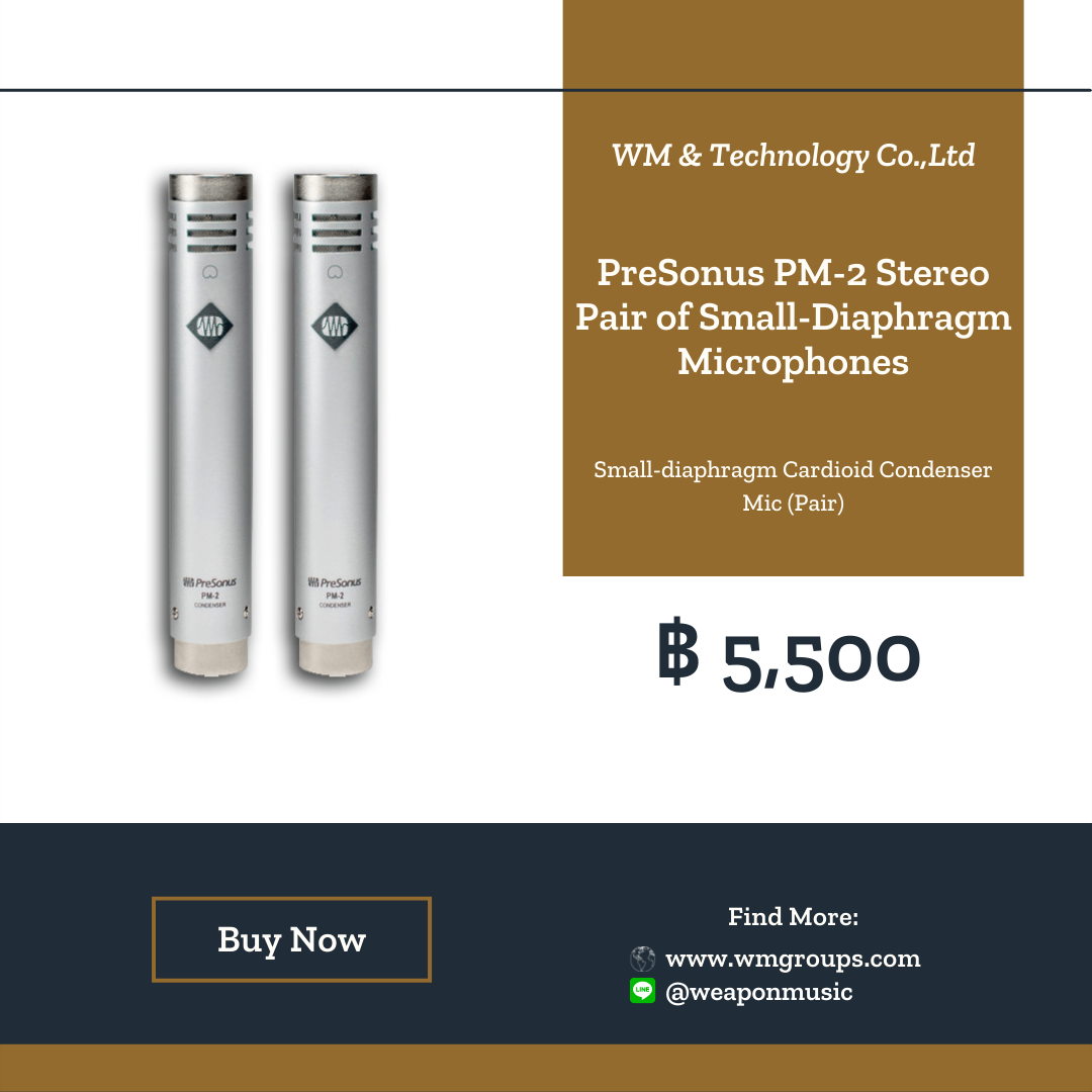 PreSonus PM-2 Stereo Pair of Small-Diaphragm Microphones