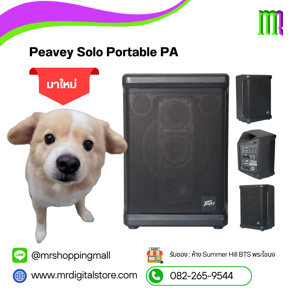 Peavey Solo Portable PA | ลำโพงพกพาพร้อมแบตเตอรี่ เสียงดี คุ้มค่า