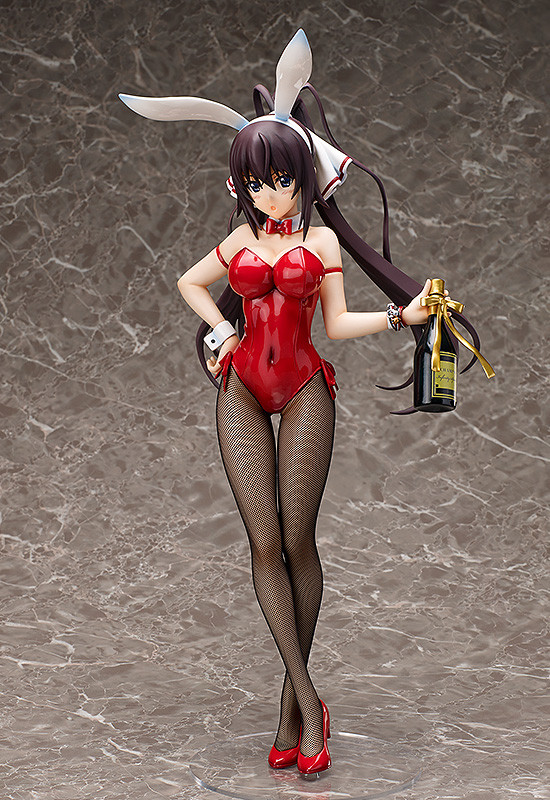 Shinonono Houki Bunny ver.