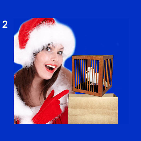 Appearing Three Dove Cages From Empty Paper Bag