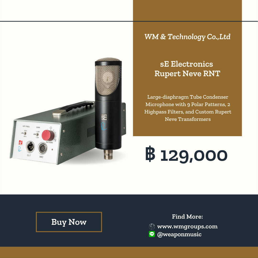 sE Electronics Rupert Neve RNT