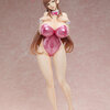 Minako Sanada Bare Leg Bunny Ver.