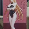 Erina Nakiri Bare Leg Bunny Ver.