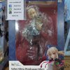 Saber/Altria Pendragon (Alter) Heroic Spirit Traveling Outfit Ver.