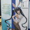 Hestia Bunny Ver.