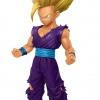 The Son Gohan MSP