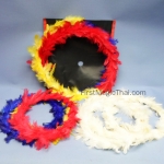 ห่วงขนนกเปลี่ยนสี (Color Changing Feather Circle)