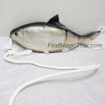 จับปลากลางอากาศ (Fishing rope)