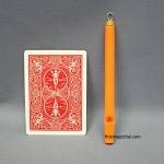 นกหวีด เสียงนก