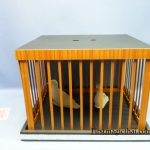 เสกกรงนก มา