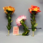 ดอกไม้ สวัสดี