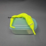 หนอนแสนรู้ (สีเหลือง) / Magic Worm