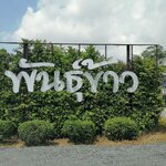 ป้ายอักษรพลาสวูด ''พันธ์ข้าว''