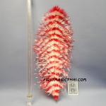 Magic Feathers red by jeimin / เสกดอกไม้