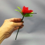 เนรมิตรดอกไม้ / Appearing Flower