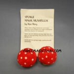 ฟองน้ำ เห็ดคู่ / sponge magic mushroom