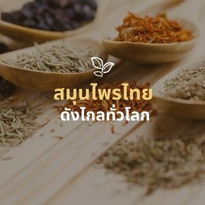 สมุนไพรไทย ดังไกลทั่วโลก