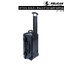 PELICAN 1510 CASE WITH PADDED DIVIDER - BLACK