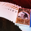Bicycle Sweet Cat Playing Cards