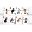 Companion Dog Playing Card