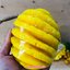 Fancy Soap Pineapple สบู่แฟนซี สับปะรด