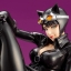 Catwoman DC Comics Bishoujo
